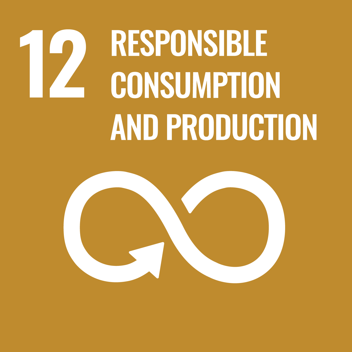 SDG 12-Responsible consumption and production