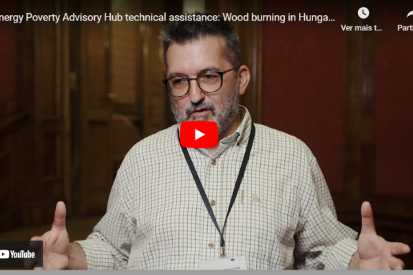 Energy Poverty Advisory Hub technical assistance Wood burning in Hungary